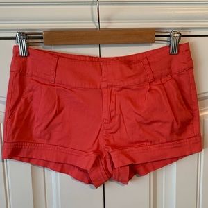 Chino Style Boutique Shorts